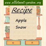 Apple Snow Recipe