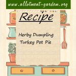 Herby Dumpling Turkey Pot Pie Recipe