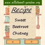 Sweet Beetroot Chutney Recipe