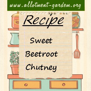 sweet beetroot chutney
