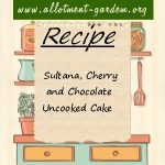 Sultana, Cherry and Chocolate Uncooked Cake Recipe