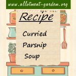 Curried Parsnip Soup Recipe