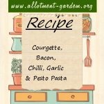 Courgette, Bacon, Chilli, Garlic & Pesto Pasta Recipe