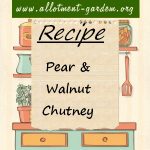 Pear & Walnut Chutney Recipe