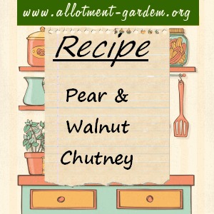 pear and walnut chutney