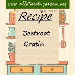 Beetroot Gratin Recipe