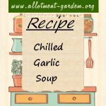 Chilled Garlic Soup Recipe
