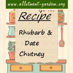 Rhubarb and Date Chutney Recipe