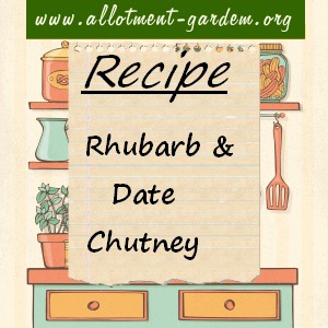rhubarb and date chutney