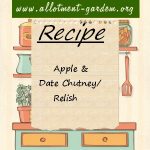 Apple & Date Chutney or Relish Recipe