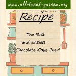 The Best and Easiest Chocolate Cake Ever Recipe