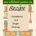 Gooseberry and Ginger Chutney Recipe Variation