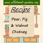 Pear, Fig and Walnut Chutney Recipe