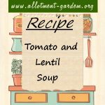 Tomato & Lentil Soup Recipe