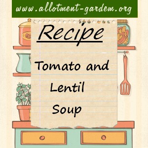 tomato and lentil soup