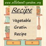 Vegetable Gratin Recipe
