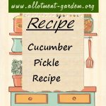 Cucumber Pickle Recipe