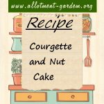 courgette nut cake