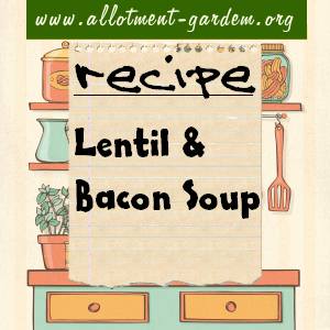lentil & bacon soup recipe