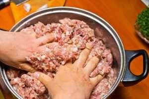 Mixing Sausage Meat Ingredients