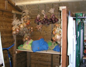 Produce Store in Shed