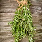 Drying Herbs - How to Dry and Store Herbs
