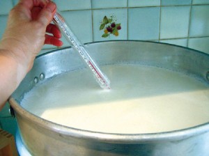 Pasteurising Milk