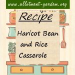 Haricot Bean and Rice Casserole Recipe