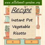 Instant Pot Vegetable Risotto Recipe