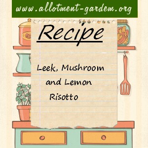 leek, mushroom and lemon risotto