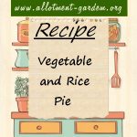 Vegetable and Rice Pie Recipe