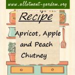 Apricot, Apple and Peach Chutney Recipe