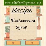 Blackcurrant Syrup Recipe