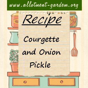 courgette and onion pickle