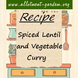 spiced lentil and vegetable