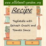 Tagliatelle with Spinach Gnochi and Tomato Sauce Recipe