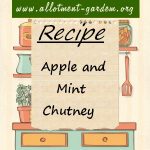 Apple and Mint Chutney Recipe