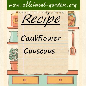 cauliflower couscous