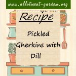 Pickled Gherkins with Dill Recipe