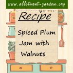 Spiced Plum Jam with Walnuts Recipe