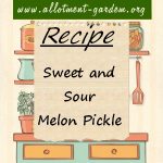 Sweet and Sour Melon Pickle Recipe