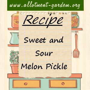 sweet and sour melon pickle