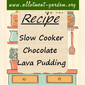 Slow Cooker Chocolate Lava Pudding