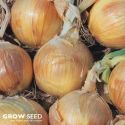 Onion Seeds and Sets