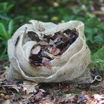 Biodegradable Leaf Sacks (Set of 3)