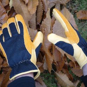 Gold Leaf  Winter Touch Gloves