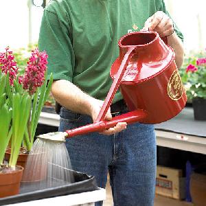 Haws Deluxe Outdoor 7ltrs Watering Can