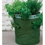 Herb Planters 2 Pack