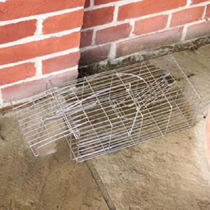 Humane Rat Cage