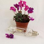 Lamp for Professional Grow Light